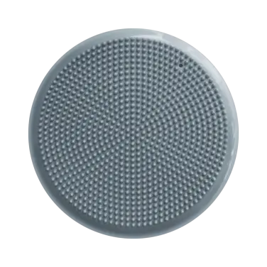 Yamaguchi Balance Disk (gray)